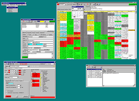 Screenshot vom Programm: Terminplaner fr Netzwerke